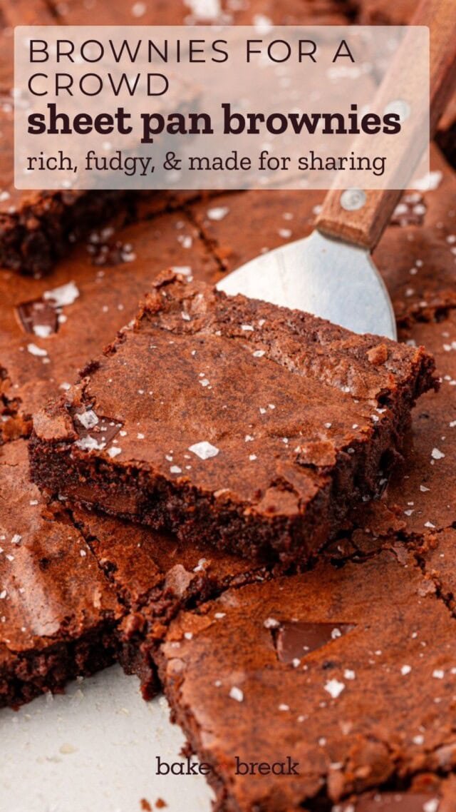 brownies cut into squares and topped with flaky salt; text overlay "brownies for a crowd - sheet pan brownies - rich, fudgy, & made for sharing"