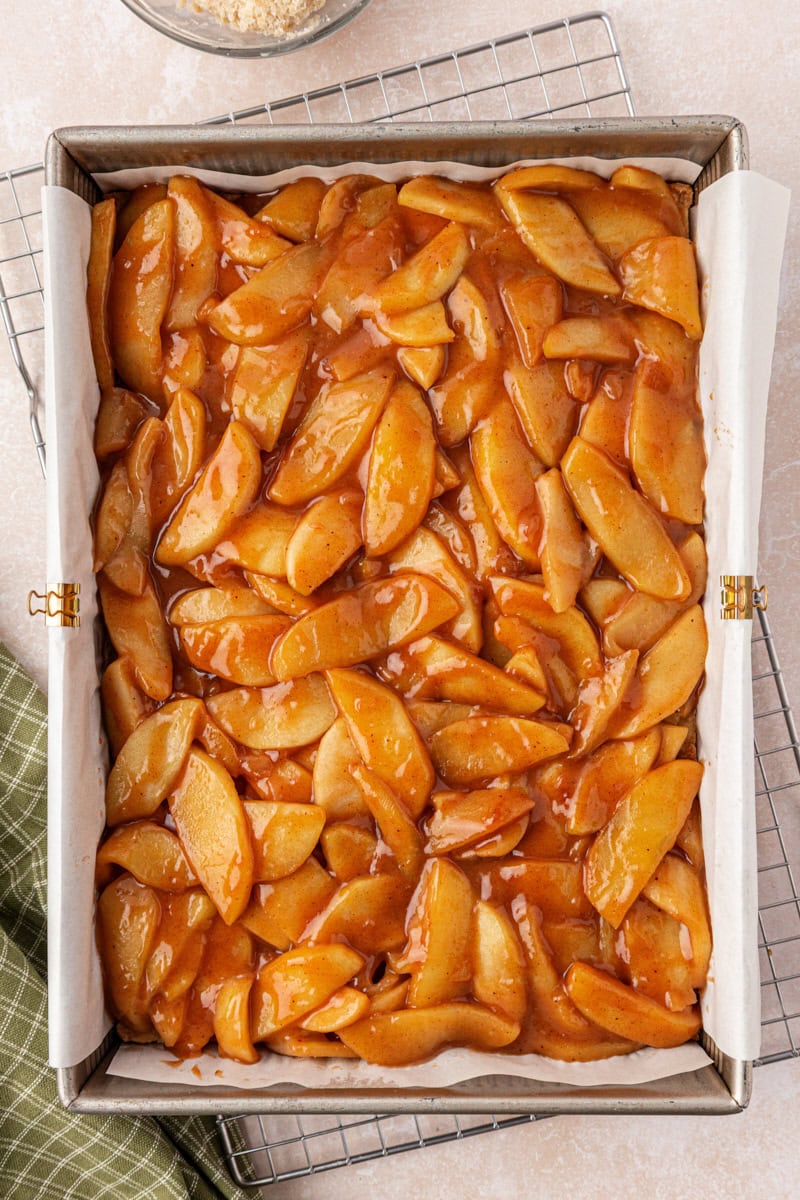 overhead view of apple filling on top of partially baked crust