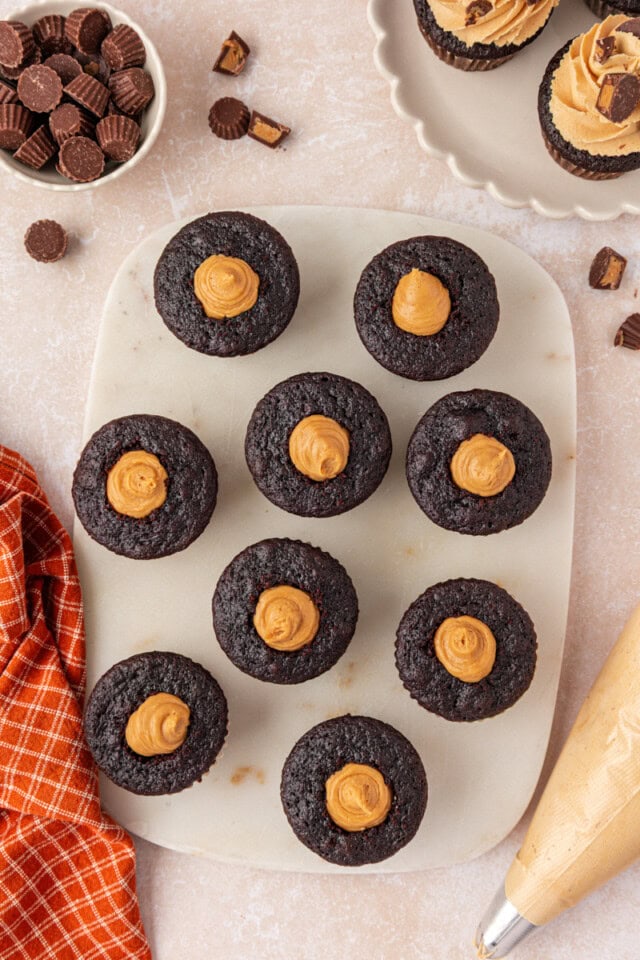 chocolate cupcakes filled with peanut butter filling
