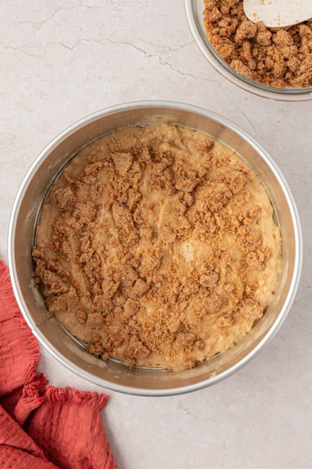 cinnamon streusel mixture scattered over muffin batter in a springform pan