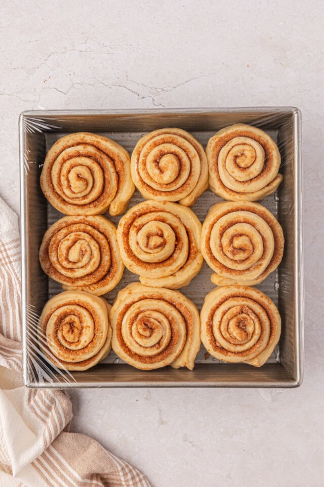 shaped cinnamon rolls in a square baking pan