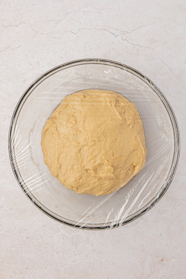 overhead view of cinnamon roll dough before the first rise