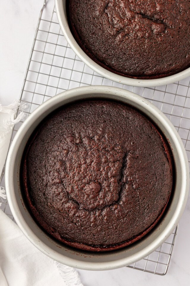 freshly baked chocolate cake layers in round cake pans on a wire rack