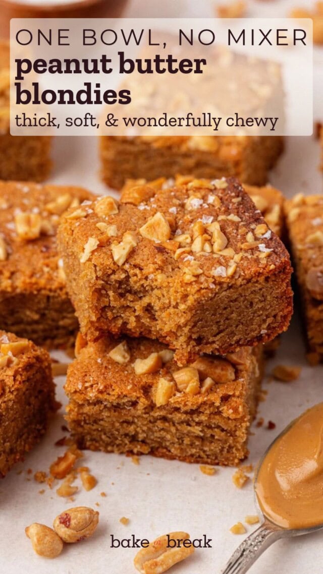 close-up of two peanut butter blondies topped with peanuts and flaky salt; text overlay "one bowl, no mixer - peanut butter blondies - thick, soft, & wonderfully chewy"